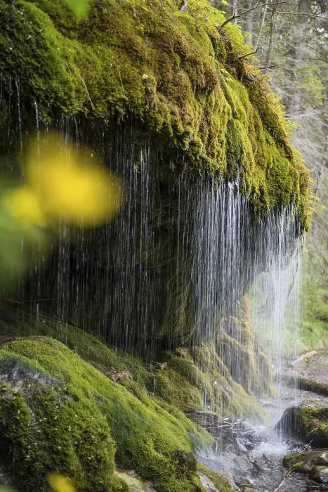 Gerahmter Druck : Moosbedeckte Felsen und Wasserfall Gerahmter Druck : Moosbedeckte Felsen und Wasserfall
