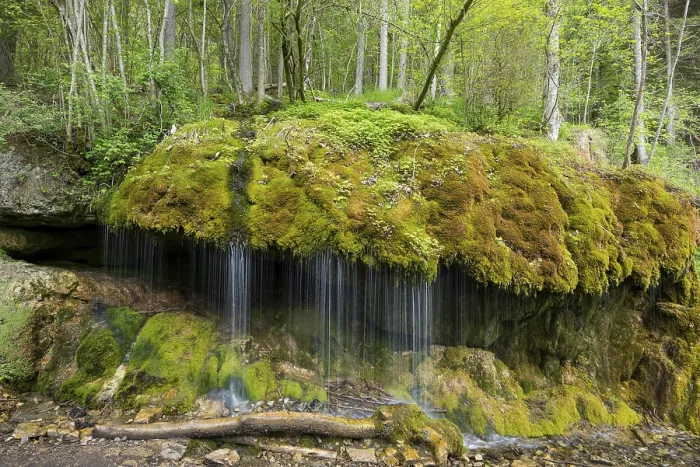 Gerahmter Druck : Moosbedeckte Felsen und Wasserfall Gerahmter Druck : Moosbedeckte Felsen und Wasserfall