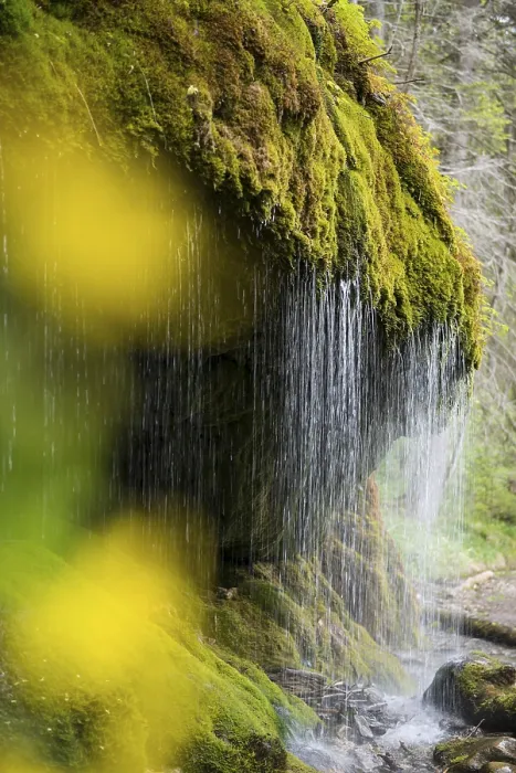 Gerahmter Druck : Moosbedeckte Felsen und Wasserfall Gerahmter Druck : Moosbedeckte Felsen und Wasserfall