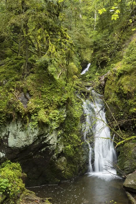 Gerahmter Druck : Moosbedeckte Felsen und Wasserfall Gerahmter Druck : Moosbedeckte Felsen und Wasserfall