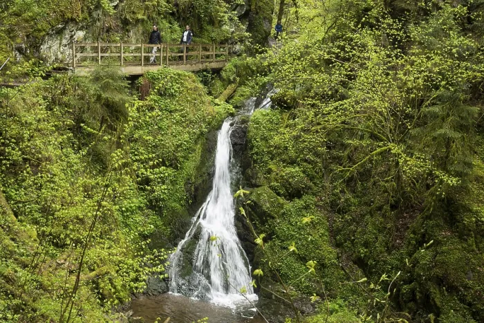 Gerahmter Druck : Moosbedeckte Felsen und Wasserfall Gerahmter Druck : Moosbedeckte Felsen und Wasserfall