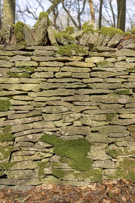 Gerahmter Druck : Steinmauer mit Moos, Bibury. Gerahmter Druck : Steinmauer mit Moos, Bibury.