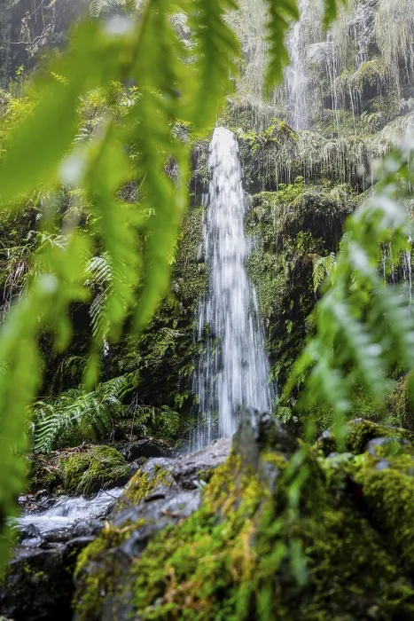 Gerahmter Druck : Moos auf einem Stein, Wasserfall, lange Belichtung. Gerahmter Druck : Moos auf einem Stein, Wasserfall, lange Belichtung.