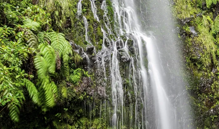 Gerahmter Druck : Moss auf einem Stein, Wasserfall, lange Belichtung. Gerahmter Druck : Moss auf einem Stein, Wasserfall, lange Belichtung.