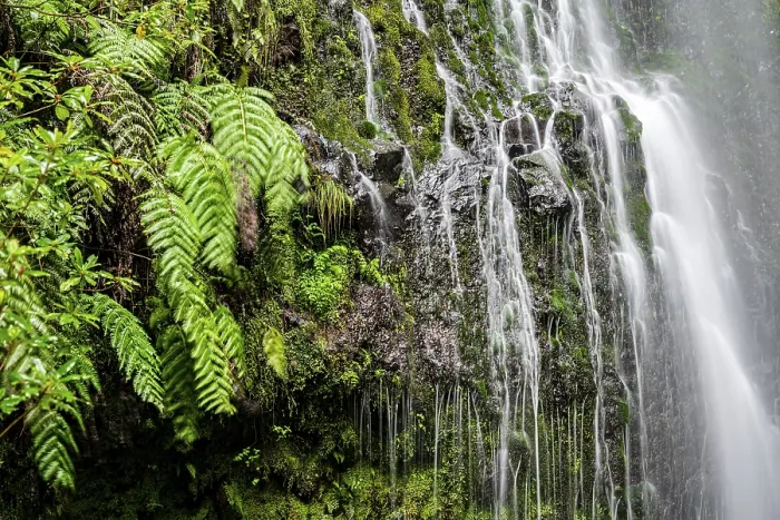 Gerahmter Druck : Moss auf einem Stein, Wasserfall, lange Belichtung. Gerahmter Druck : Moss auf einem Stein, Wasserfall, lange Belichtung.