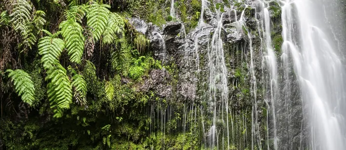 Gerahmter Druck : Moss auf einem Stein, Wasserfall, lange Belichtung. Gerahmter Druck : Moss auf einem Stein, Wasserfall, lange Belichtung.