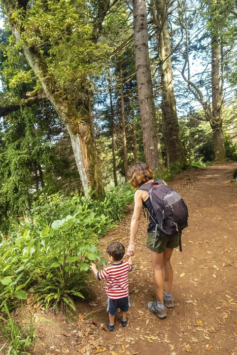 Gerahmter Druck : Eine Mutter mit ihrem Sohn auf dem Waldweg. Gerahmter Druck : Eine Mutter mit ihrem Sohn auf dem Waldweg.
