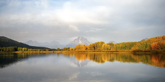 Gerahmter Druck : Mount Moran spiegelt sich im Snake River. Gerahmter Druck : Mount Moran spiegelt sich im Snake River.