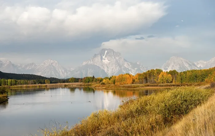 Gerahmter Druck : Mount Moran spiegelt sich im Snake River. Gerahmter Druck : Mount Moran spiegelt sich im Snake River.