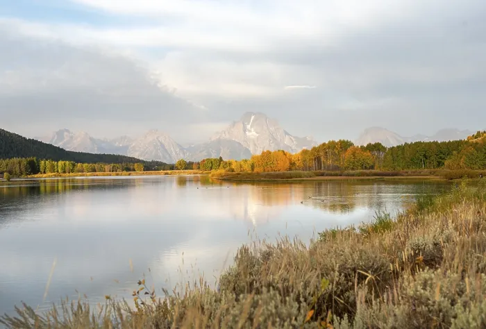 Gerahmter Druck : Mount Moran spiegelt sich im Snake River. Gerahmter Druck : Mount Moran spiegelt sich im Snake River.