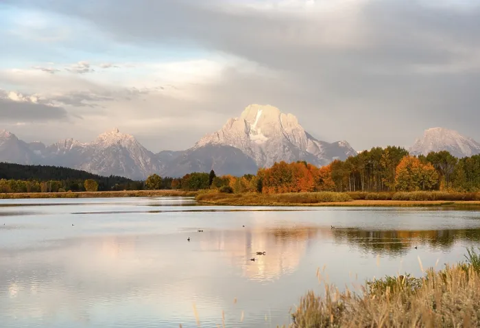 Gerahmter Druck : Mount Moran spiegelt sich im Snake River. Gerahmter Druck : Mount Moran spiegelt sich im Snake River.