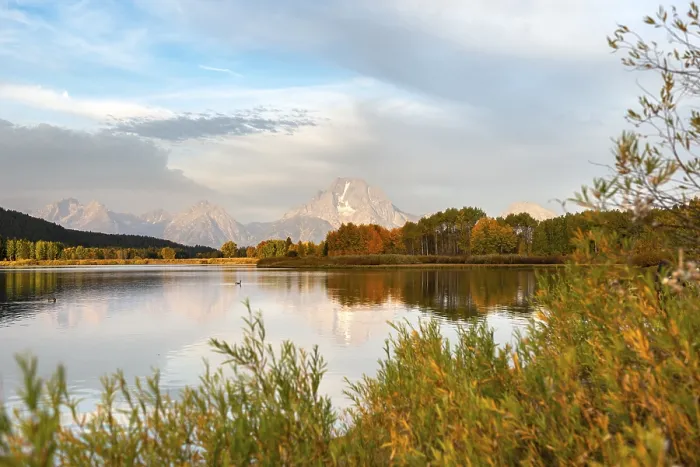 Gerahmter Druck : Mount Moran spiegelt sich im Snake River. Gerahmter Druck : Mount Moran spiegelt sich im Snake River.