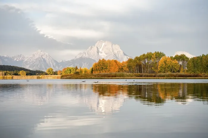 Gerahmter Druck : Mount Moran spiegelt sich im Snake River. Gerahmter Druck : Mount Moran spiegelt sich im Snake River.