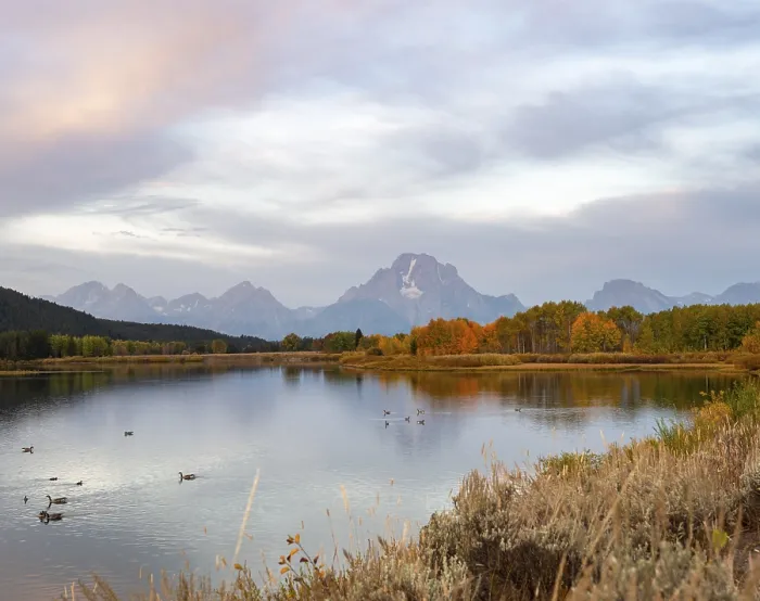 Gerahmter Druck : Mount Moran spiegelt sich im Snake River. Gerahmter Druck : Mount Moran spiegelt sich im Snake River.
