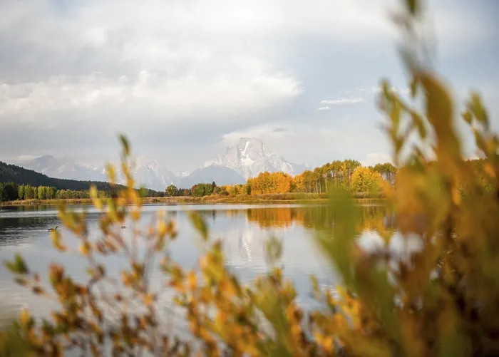 Gerahmter Druck : Mount Moran spiegelt sich im Snake River. Gerahmter Druck : Mount Moran spiegelt sich im Snake River.