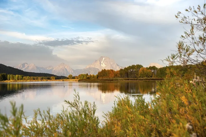 Gerahmter Druck : Mount Moran spiegelt sich im Snake River. Gerahmter Druck : Mount Moran spiegelt sich im Snake River.