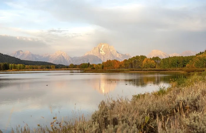 Gerahmter Druck : Mount Moran spiegelt sich im Snake River. Gerahmter Druck : Mount Moran spiegelt sich im Snake River.