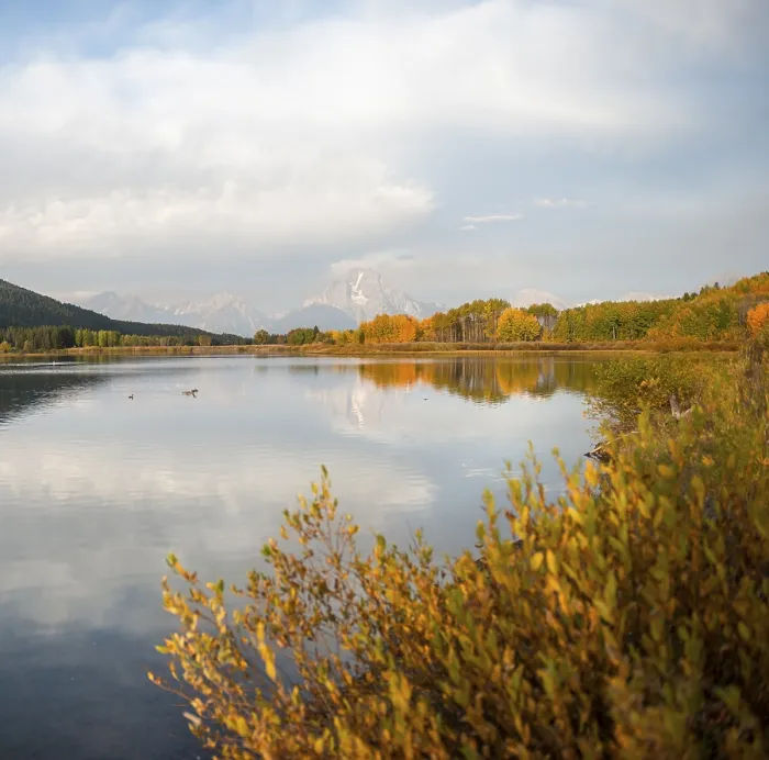 Gerahmter Druck : Mount Moran spiegelt sich im Snake River, Oxbow Bend bei Sonnenaufgang Gerahmter Druck : Mount Moran spiegelt sich im Snake River, Oxbow Bend bei Sonnenaufgang