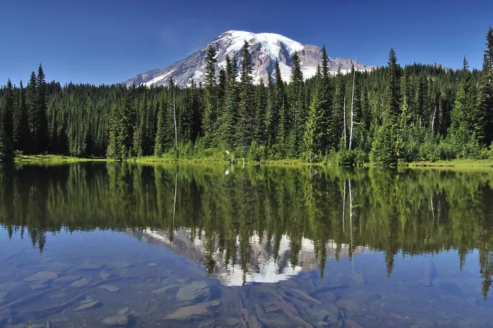 Gerahmter Druck : Berg Rainier spiegelt sich selbst in Reflection Lake. Gerahmter Druck : Berg Rainier spiegelt sich selbst in Reflection Lake.