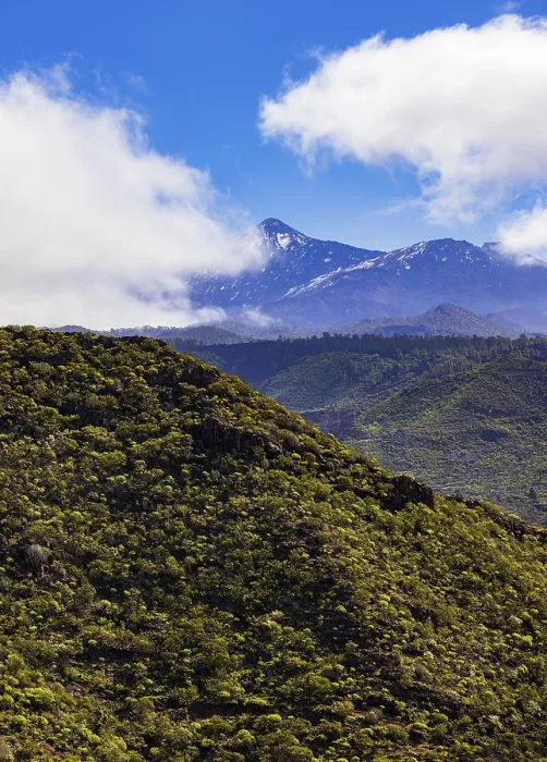 Gerahmter Druck : Wanderung zum Risco Blanco, Blick auf den Teide. Gerahmter Druck : Wanderung zum Risco Blanco, Blick auf den Teide.