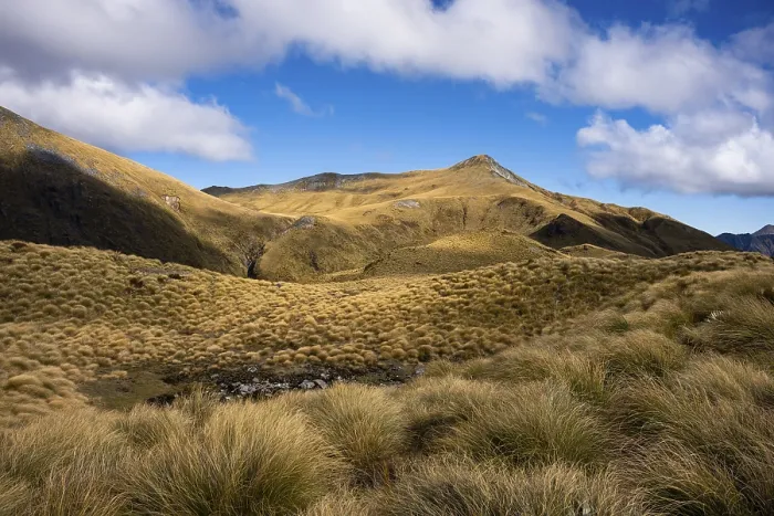 Gerahmter Druck : Berglandschaft, Mount Burns Gerahmter Druck : Berglandschaft, Mount Burns