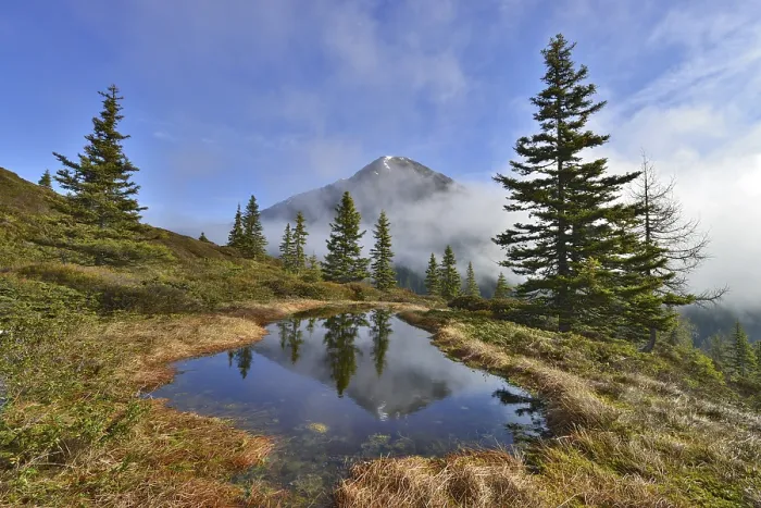 Gerahmter Druck : Berglandschaft im Frühling. Gerahmter Druck : Berglandschaft im Frühling.