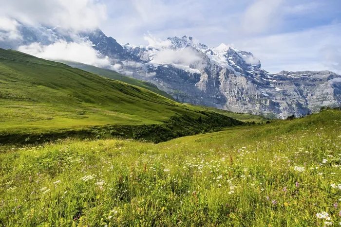 Gerahmter Druck : Bergpanorama mit Gipfeln Eiger. Gerahmter Druck : Bergpanorama mit Gipfeln Eiger.