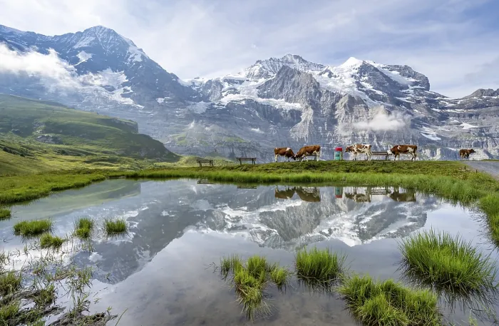 Gerahmter Druck : Berge der Jungfrau-Region mit Eiger, Mönch und Jungfrau im Kleinen Scheidegg, Berner Oberland, Schweiz Gerahmter Druck : Berge der Jungfrau-Region mit Eiger, Mönch und Jungfrau im Kleinen Scheidegg, Berner Oberland, Schweiz
