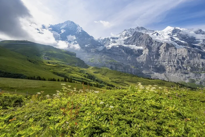 Gerahmter Druck : Bergpanorama mit Gipfeln Eiger. Gerahmter Druck : Bergpanorama mit Gipfeln Eiger.
