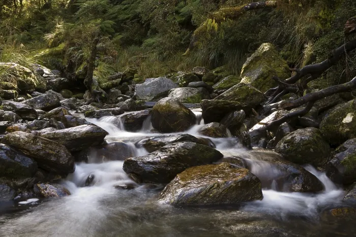 Gerahmter Druck : Bergbach am Copland Track Gerahmter Druck : Bergbach am Copland Track