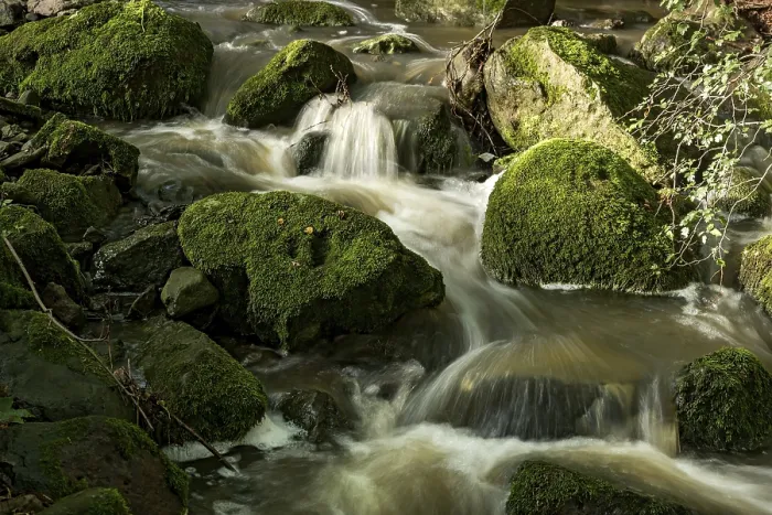 Gerahmter Druck : Bergbach im Wald mit moosbewachsenen Basaltfelsen. Gerahmter Druck : Bergbach im Wald mit moosbewachsenen Basaltfelsen.