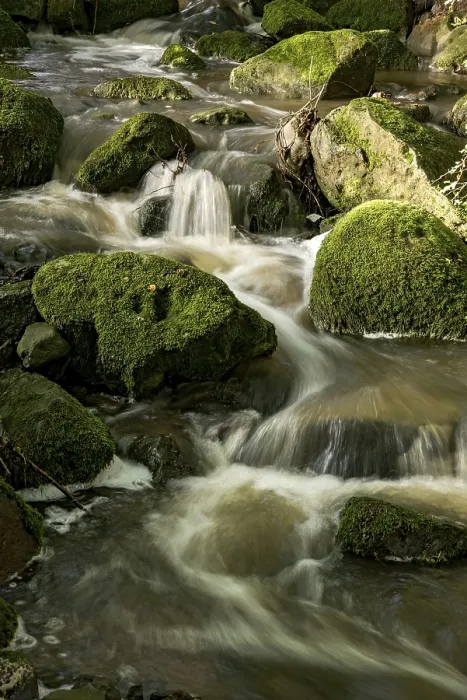 Gerahmter Druck : Bergbach im Wald mit moosbewachsenen Basaltfelsen. Gerahmter Druck : Bergbach im Wald mit moosbewachsenen Basaltfelsen.