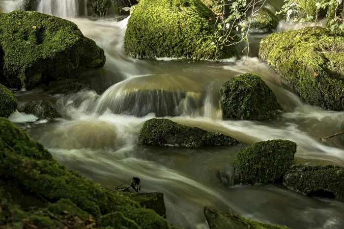 Gerahmter Druck : Bergbach im Wald mit moosbewachsenen Basaltfelsen. Gerahmter Druck : Bergbach im Wald mit moosbewachsenen Basaltfelsen.