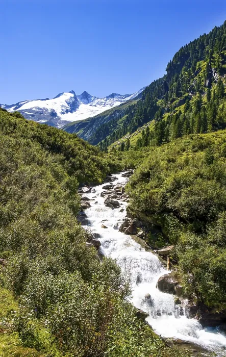 Gerahmter Druck : Bergbach mit Aussicht auf die Reichenspitze. Gerahmter Druck : Bergbach mit Aussicht auf die Reichenspitze.