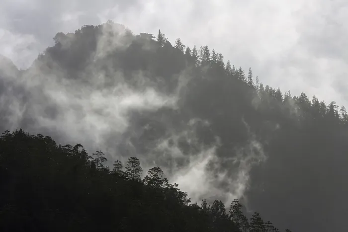 Gerahmter Druck : Berge, mit Vegetation bedeckt. Gerahmter Druck : Berge, mit Vegetation bedeckt.