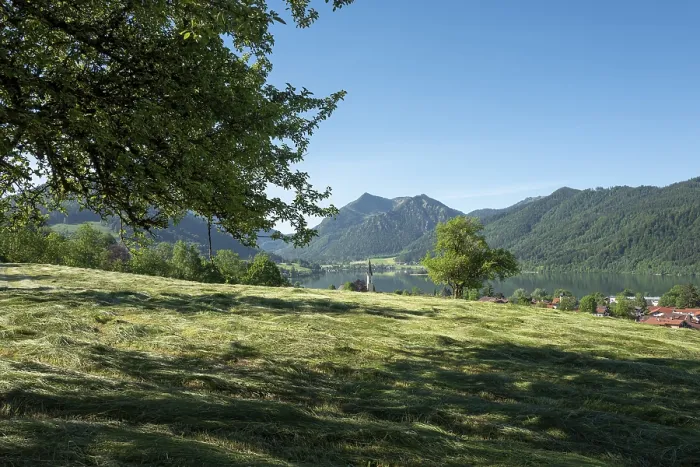 Gerahmter Druck : Mähwiese, Risseckstraße Gerahmter Druck : Mähwiese, Risseckstraße