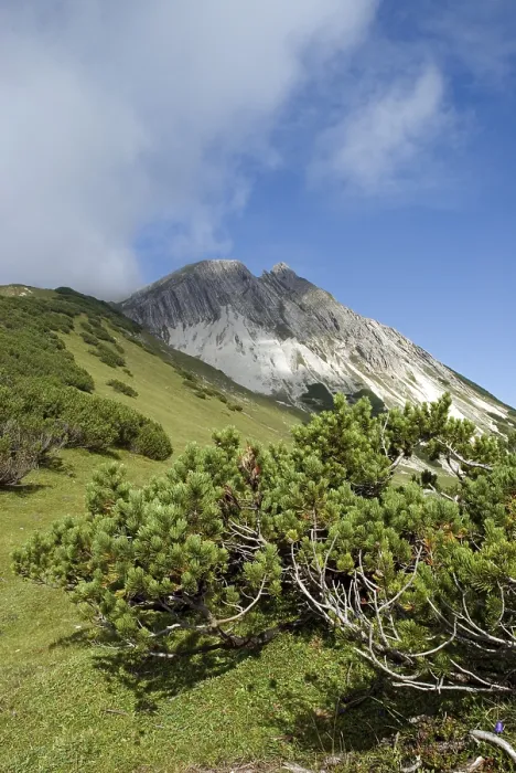 Gerahmter Druck : Berg des Mondlichts, Karwendelkette Gerahmter Druck : Berg des Mondlichts, Karwendelkette