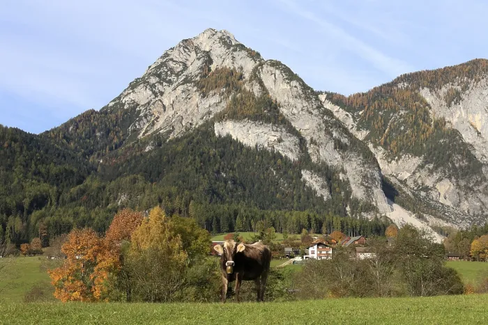 Gerahmter Druck : Mt Stoderzinken bei Groebming Gerahmter Druck : Mt Stoderzinken bei Groebming