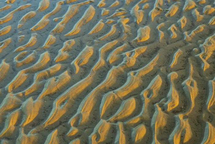 Gerahmter Druck : Mudflats in Abendlicht, Strand. Gerahmter Druck : Mudflats in Abendlicht, Strand.
