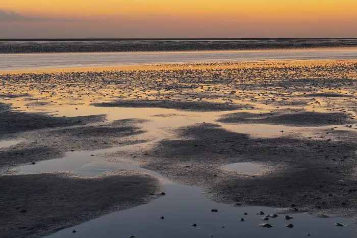Gerahmter Druck : Schlickflächen bei Abendlicht, Strand. Gerahmter Druck : Schlickflächen bei Abendlicht, Strand.