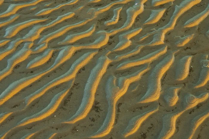 Gerahmter Druck : Mudflats in Abendlicht, Strand. Gerahmter Druck : Mudflats in Abendlicht, Strand.