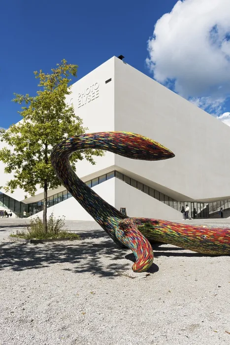 Gerahmter Druck : Museum, Musée de l'Elisee Gerahmter Druck : Museum, Musée de l'Elisee