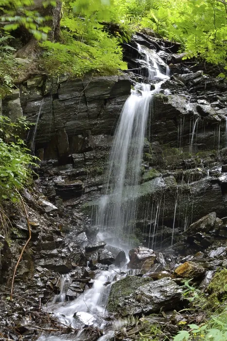 Gerahmter Druck : Natürlicher Verlauf eines Baches mit Wasserfall. Gerahmter Druck : Natürlicher Verlauf eines Baches mit Wasserfall.