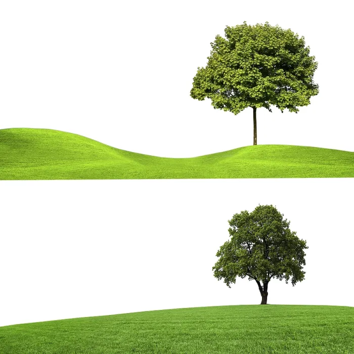Gerahmter Druck : Natur, Banner. Gerahmter Druck : Natur, Banner.