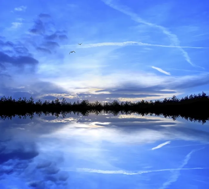 Gerahmter Druck : Natur in blau. Gerahmter Druck : Natur in blau.