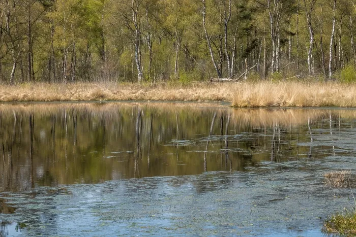 Gerahmter Druck : Naturschutz und FFH-Gebiet Gerahmter Druck : Naturschutz und FFH-Gebiet