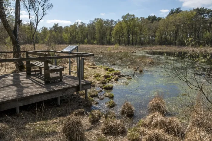 Gerahmter Druck : Natur- und FFH-Gebiet Gerahmter Druck : Natur- und FFH-Gebiet