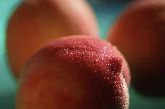 Gerahmter Druck : Nektarapfel (Prunus spec.) Gerahmter Druck : Nektarapfel (Prunus spec.)