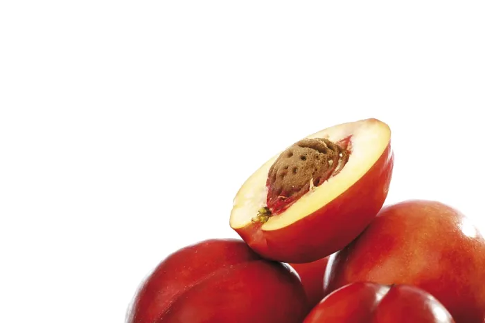 Gerahmter Druck : Nectarines Gerahmter Druck : Nectarines