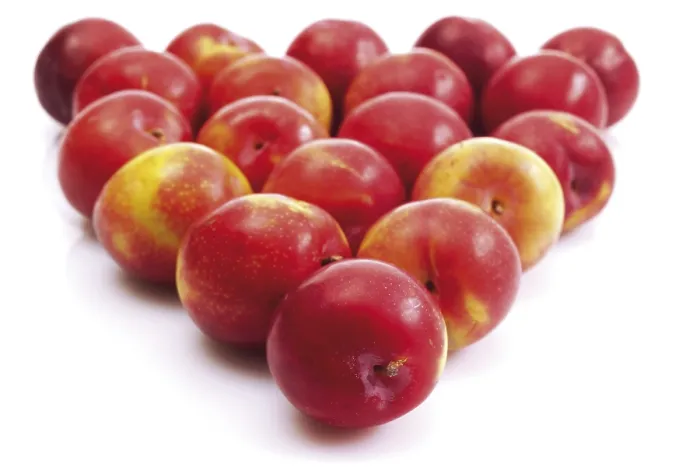 Gerahmter Druck : Nectarines Gerahmter Druck : Nectarines